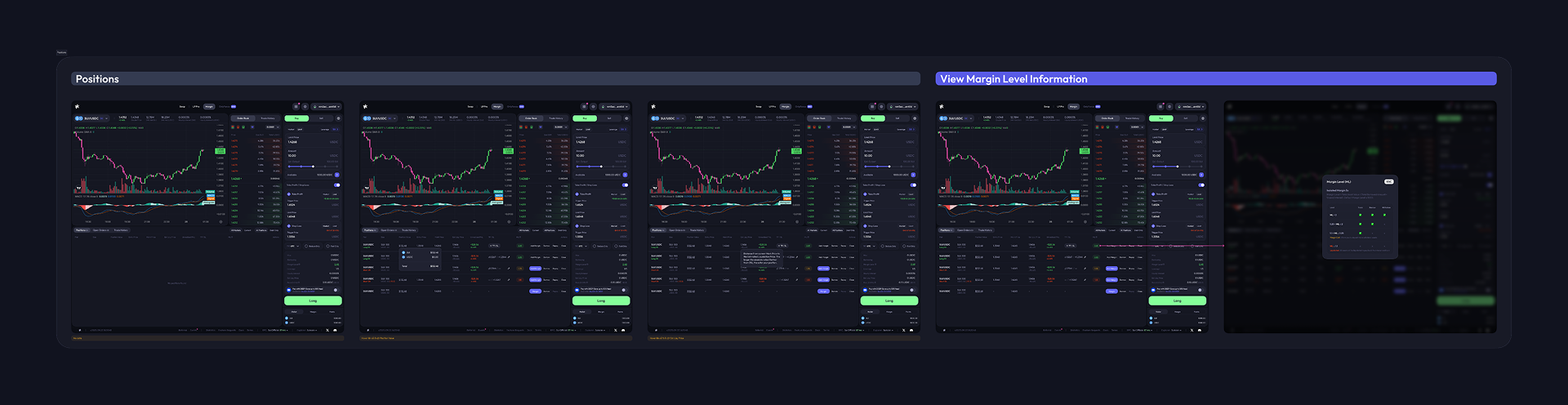 Solution — margin overview panel